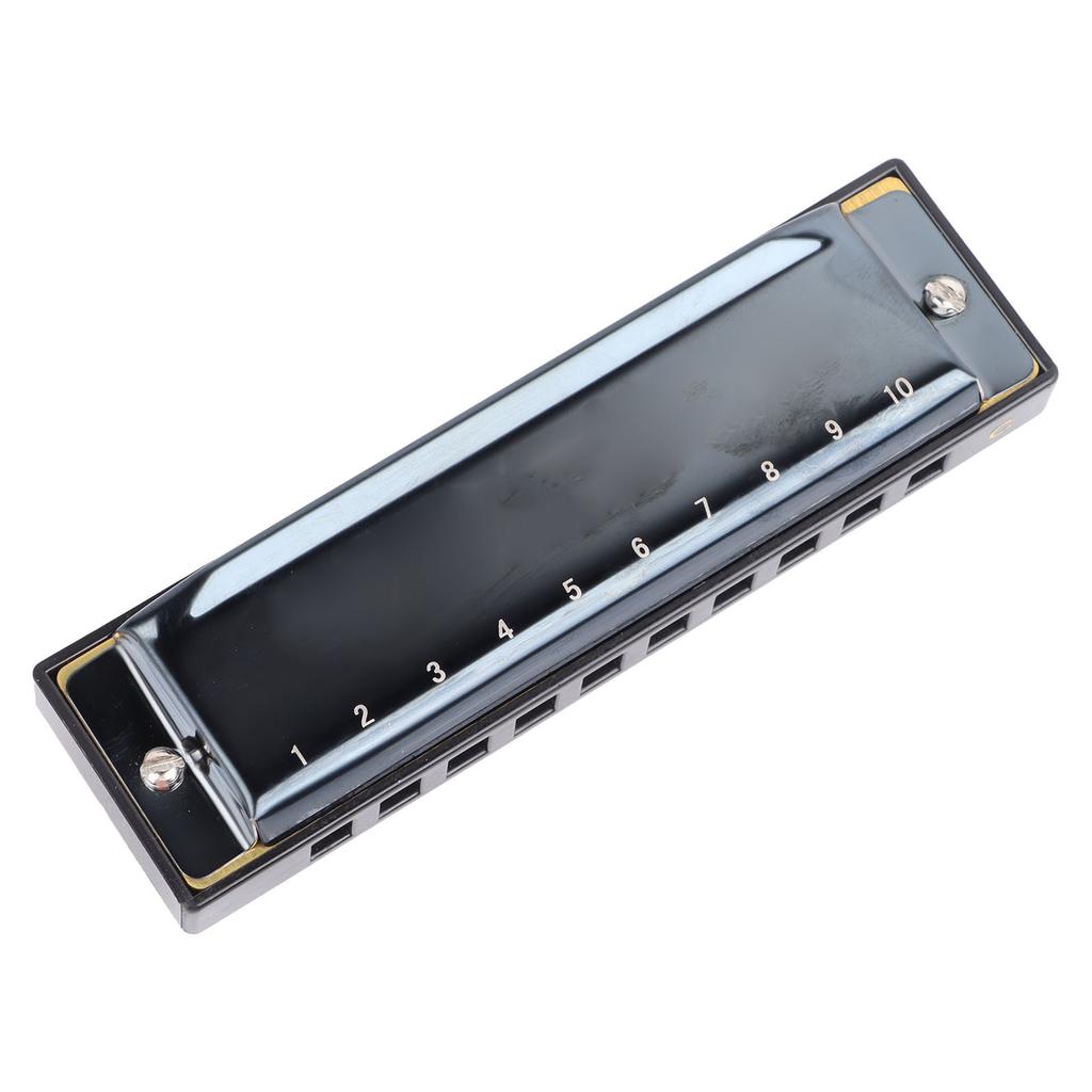 Schwarze Mundharmonika C-Dur 10 Löcher Blue Harp Edelstahl Harz Verdickte Abdeckung Mundorgel