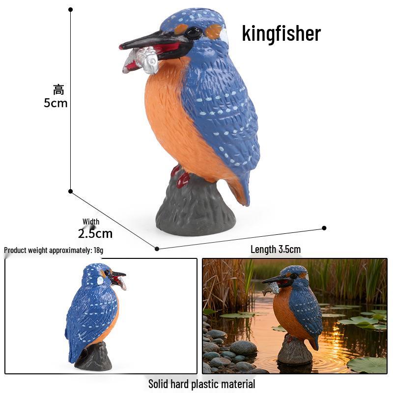 Kids' Bird Model Set: Toucan, Parrot, Ostrich, Peacock, Eagle, Pigeon, Owl.