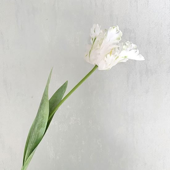 Kunstig tulipan realistisk falsk blomst med blader ingen vedlikehold falsk tulipan for hjemmedekor bryllupsfest bordpynt