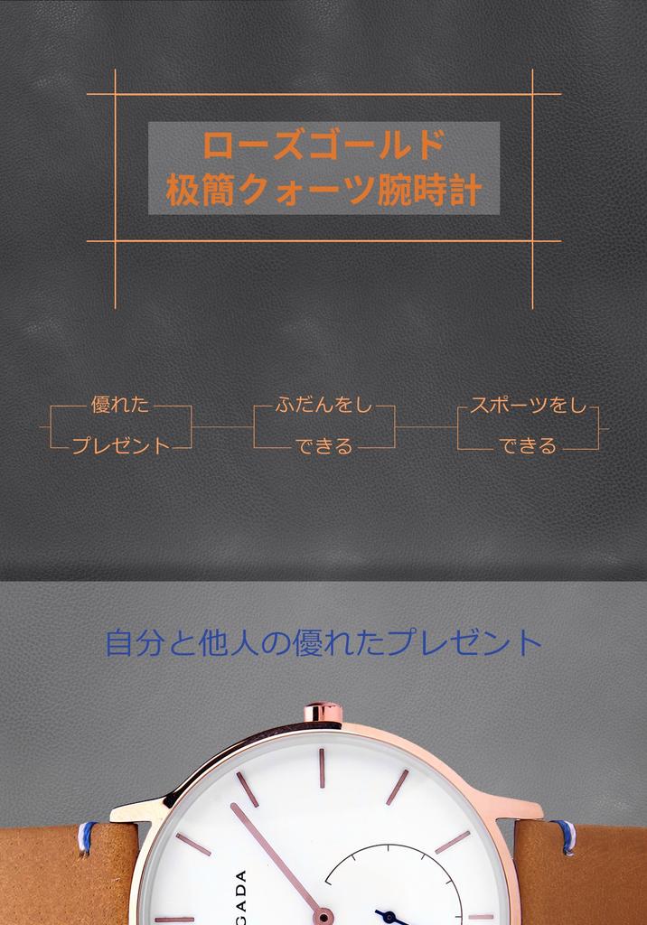 BRIGADA Swiss Brand Watch Popular Luxury Watch Men's (Barakin)