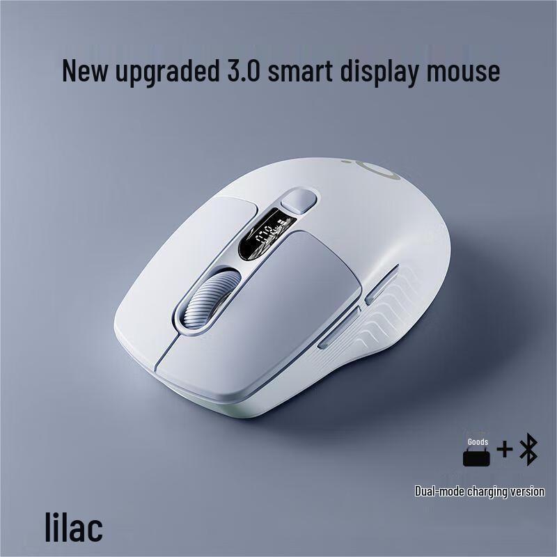 Q1 Wireless Bluetooth Dual Mode Silent Mouse with Screen Display