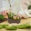 Flower Pot Purple Sand Stoneware Clay Succulent Bowl Small Planters Terracotta Bonsai Pots Desktop Planter Vintage Style