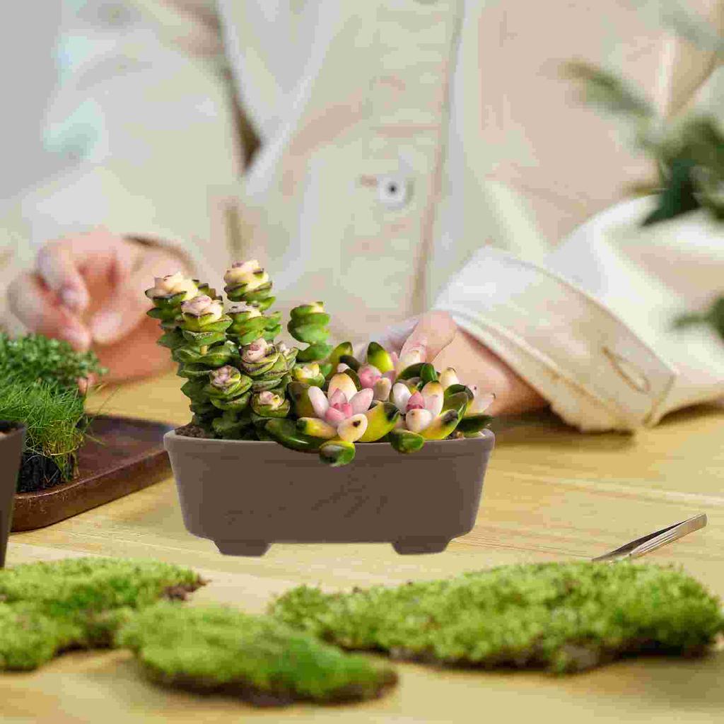Flower Pot Purple Sand Stoneware Clay Succulent Bowl Small Planters Terracotta Bonsai Pots Desktop Planter Vintage Style