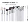 In Stock: 30-Piece Professional Silver Makeup Brush Set for Eyes, Blush, and Powder