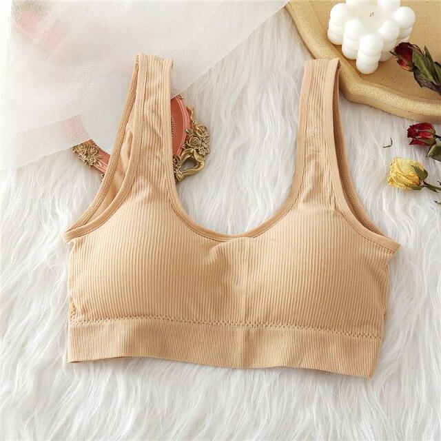 FINETOO Padded Tube Tops Sexy Crop Top Seamless Underwear U-Back Wrapped Chest Streetwear Female Fitness Tops Tank Lingerie 2020