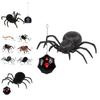 Remote Control Spider Toy With Plastic Material For Kids Age 7 To 14