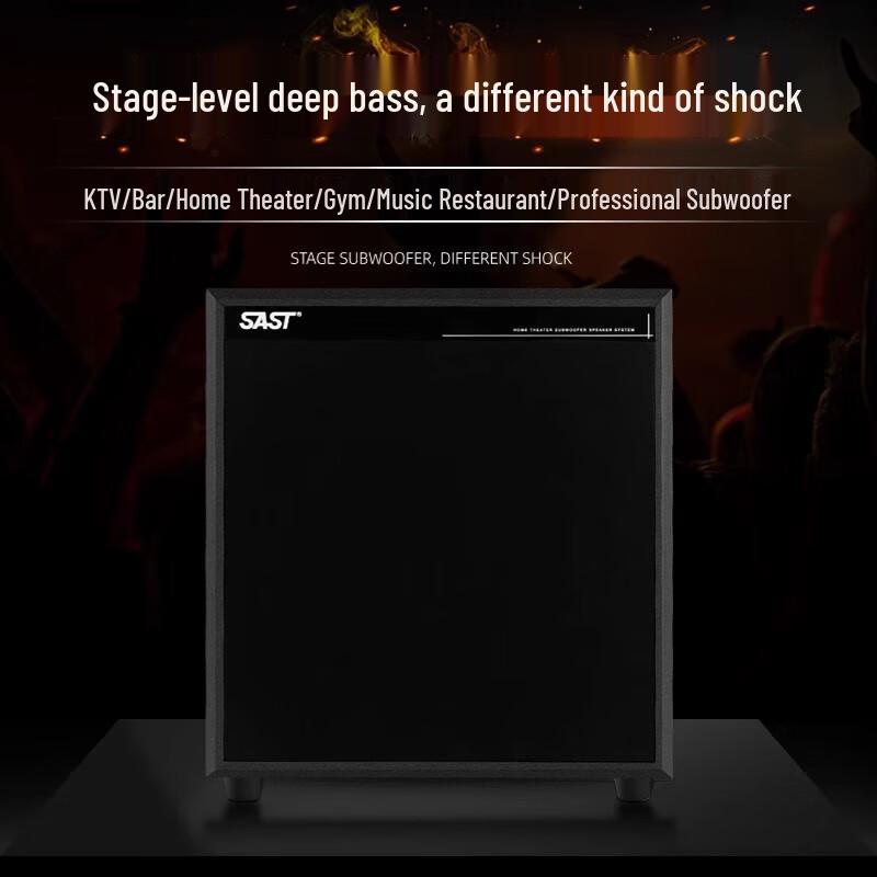 SAST Active Home Theater & KTV Subwoofer