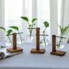 Minimalist Glass Vase with Wooden Stand for Pothos Plants – Hydroponic Desktop Ornament