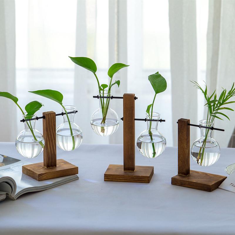 Minimalist Glass Vase with Wooden Stand for Pothos Plants – Hydroponic Desktop Ornament