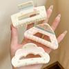 Acrylic Material Shark Hair Clip Triangle Flower Hair Claw Geometry Ponytail Clip  Hair Ornament