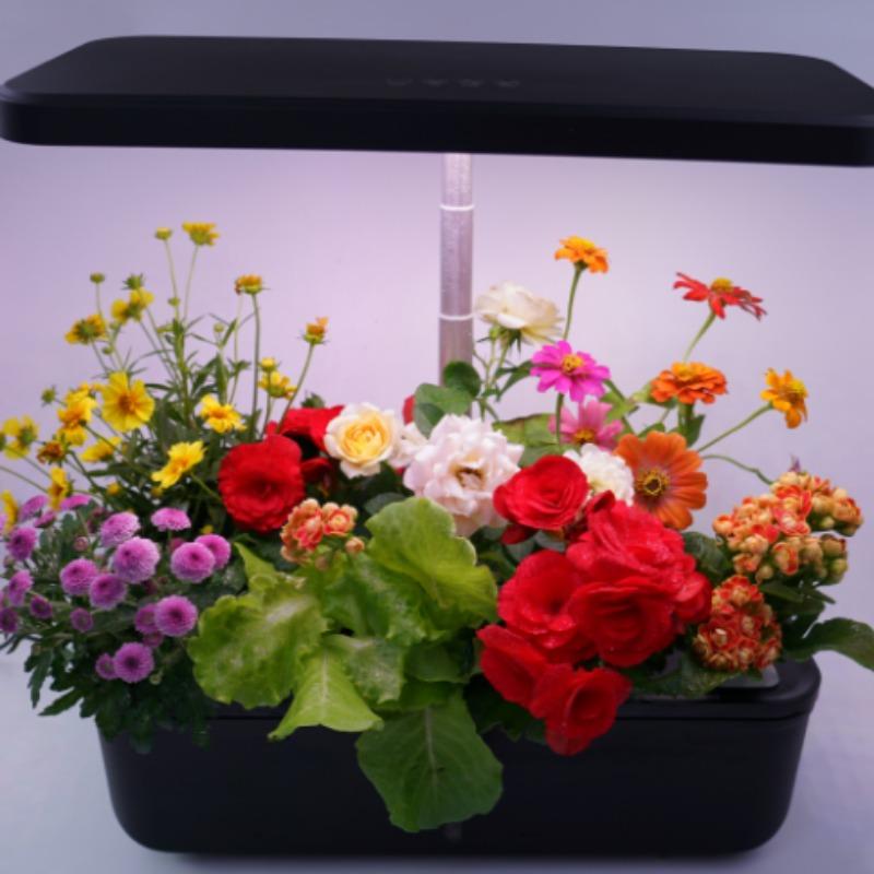 

Hydroponic Growing System 12pods Plant Hydroponic Lamp Led Beads With Water Tank Automatic Fill Light Intelligent Indoor Garden чёрный