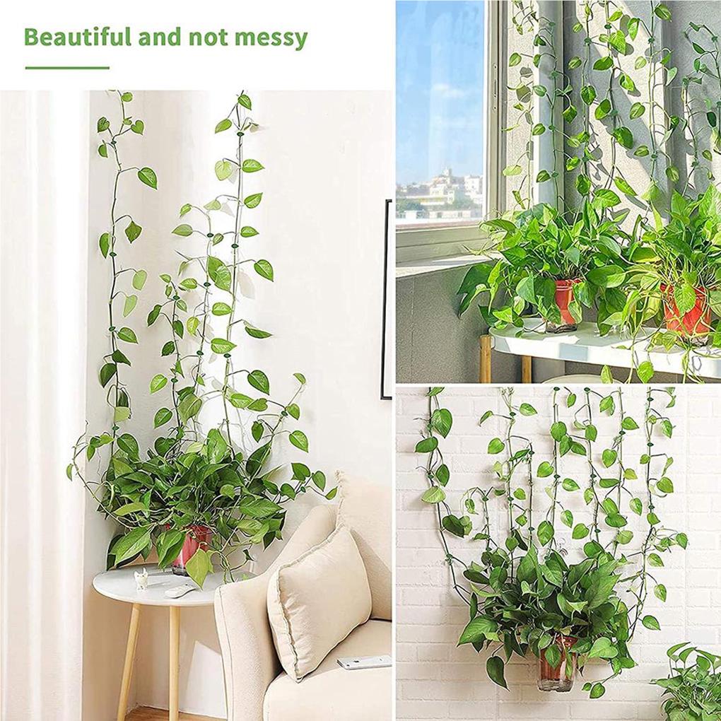 10 Pieces Climbing Plant Support Drill-free Snap Self-adhesive Invisible Hook Holder Wall Fixture Leaf Clip Indoor Garden