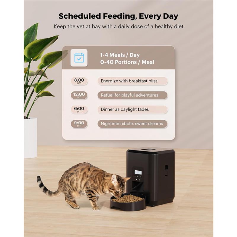 Automatic Cat Feeder 2L Automatic Pet Feeders For Cats And Dogs Food Dispenser For Dry Food Timed Cat Feeders  US Plug-A
