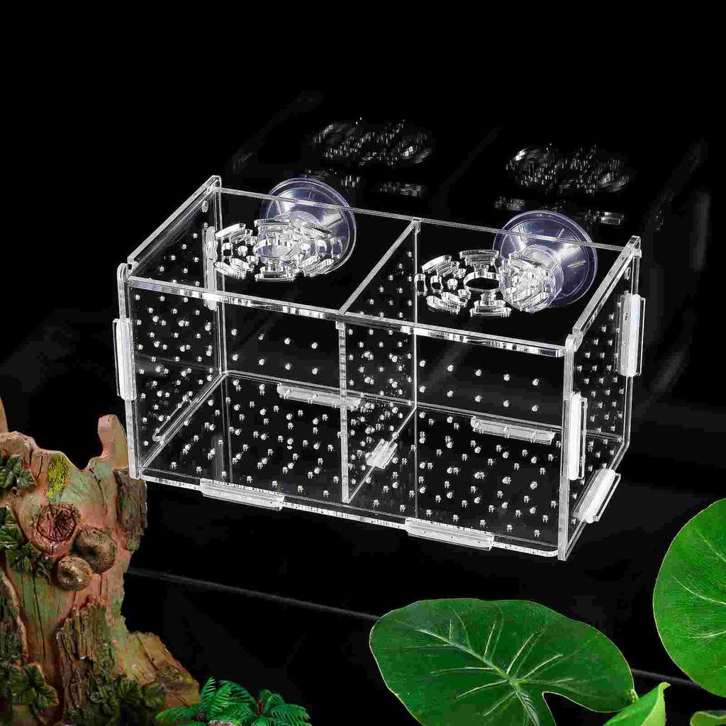 Hatching Boxes Aquarium Incubator Fish Tank Accessories for Anti-collision Holder