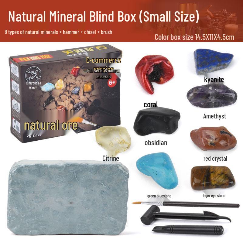 DIY Archaeology Gem & Fossil Excavation Toy for Kids – Treasure Hunt Blind Box
