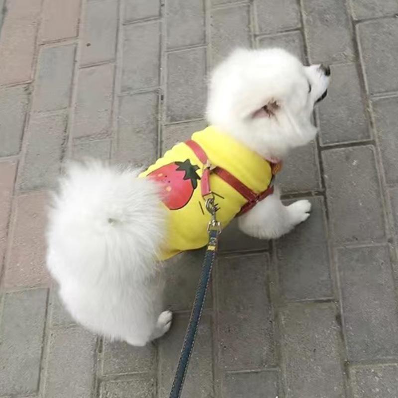 Sweet Fruit Puppy Dog  Sleeveless Clothes Summer Pet Vest for Small Dogs Yorkshire Schnauzer Beagle Cat Shirts Mascotas Clothing