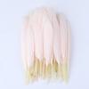 Natural Goose Feather 10-15cm Colorful Feather for Crafts DIY Jewelry Headress Carnival Dream Catcher Plumes Decor