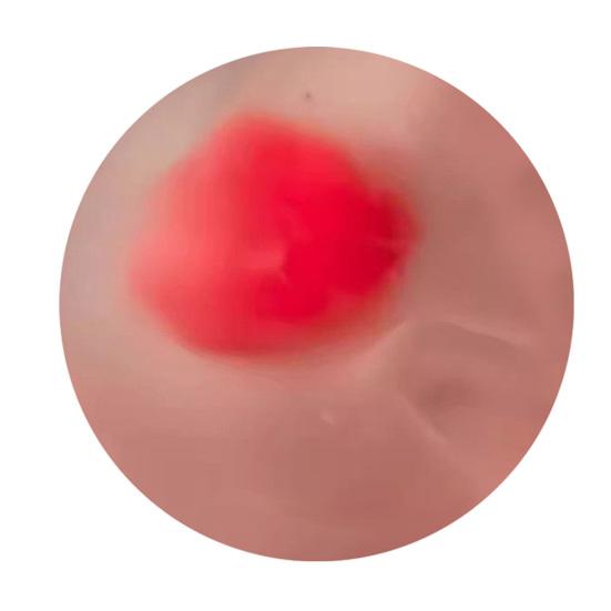 1/2Pcs Coconut Oil Stress Ball Slow Rising Stress Relief Ball Squeeze Toy Reusable Stretchy Decompression Clear Ball Sensory Toy