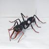 Original Bandai Simulation Insect Realistic Wasp Myrmecia Bulldog Ant Premium Lifelike Collect Model Toys Gifts