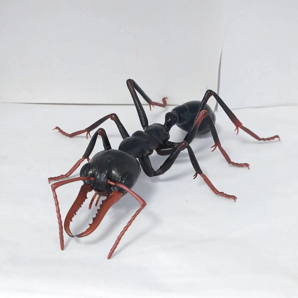 Original Bandai Simulation Insect Realistic Wasp Myrmecia Bulldog Ant Premium Lifelike Collect Model Toys Gifts