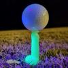 1/2 Stuks Lichtgevende Golf Tee Glow-in-the-dark Plastic Golfbalhouder Golf Trainingshulp Driving Range Binnen Buiten Golf Tee Golf Accessoires