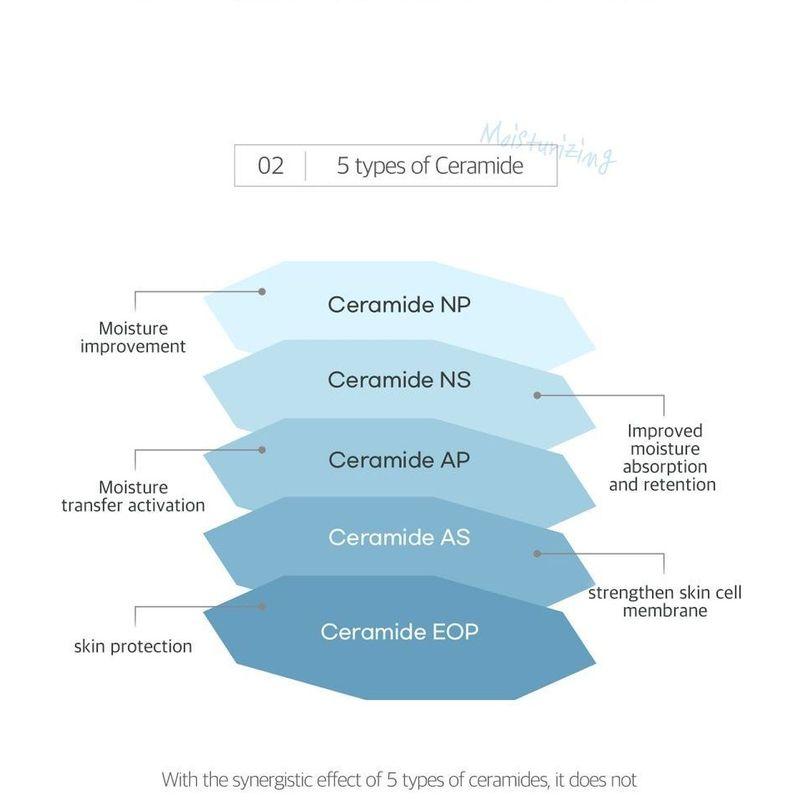 ROUND LAB 1025 Dokdo Cleansing Milk