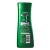 100 Years Moist Anti-Dandruff Shampoo