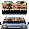 1pc Cute Pomeranian Dog Design Car Sunshade - Foldable Universal Front Windshield Shade With 4 Suction Cups, Polyester UV Protec
