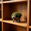 Small Animal Planter Pot Cartoon Frog/Crocodile/Dog Flower Pot Cute Decorative Cactus Pot for Home Office Desk Garden Decor