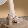 Fashion French Mary Jane Women's Shoes 2025 Nude High Heels Thick Heels Waterproof Platform Round Buckle One-strap Single Shoes