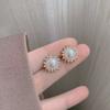 Women's Versatile Fashionable Compact Simple Earrings