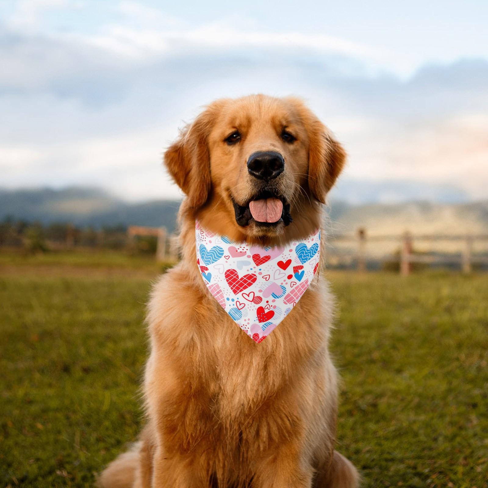

День Святого Валентина Одяг для домашніх тварин Love Pet Водний шарф Собачий шарф Аксесуари для домашніх тварин Шарф для собак One Size