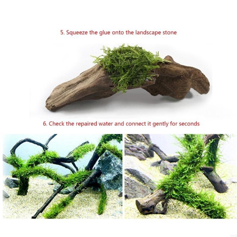 25pcs Quick-drying Aquascape- Water Plant Safe for Coral Stable Gel- Landscaping Instant-Glue