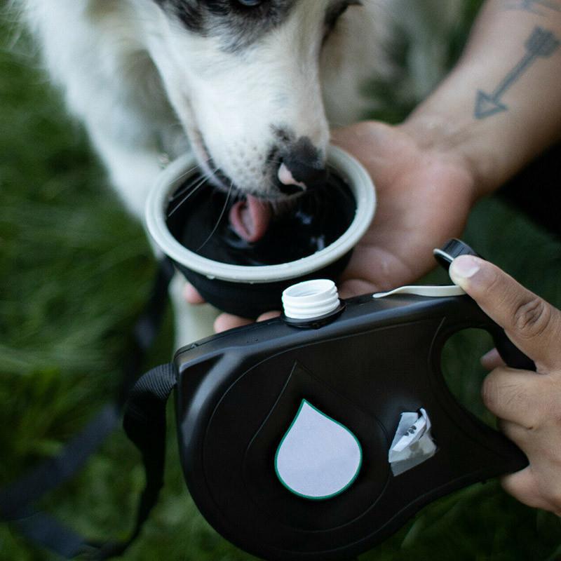 Three-In-One Outdoor Portable Multi-Functional Pet Leash,Wear-Resistant Comes With A Water Bottle,Three-Color Optional Pet Leash