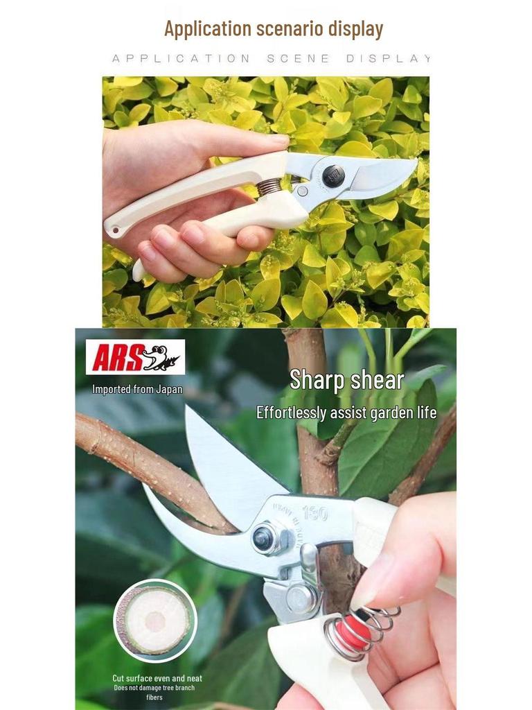 Japanese Pruning & Garden Shears for Flowers & Fruit Trees