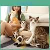 Adorable Cat Plush Toy For Kids Educational Gift Perfect For Home And Zoo Decor