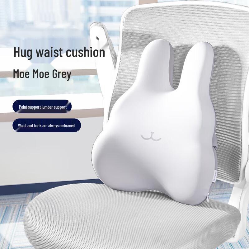 Jiaao Ergonomic Memory Foam Lumbar Support Pillow