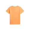 Polo Kids Cotton Jersey Tee Cwpotsht8020526800
