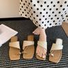 Summer New French Niche Going Out Sandals High Value Toe Cool 2025 Vacation Retro Woven Slippers Women