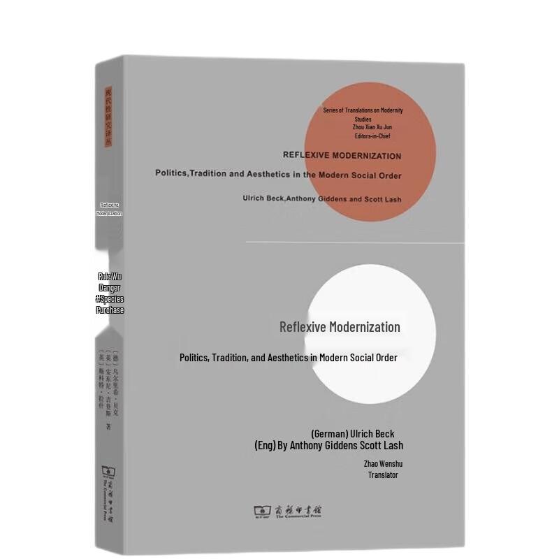 Modernity Studies Series