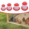 Bird Feeder, Practical And Easy To Clean Poultry Feeding Bucket, Food Dispenser for Small