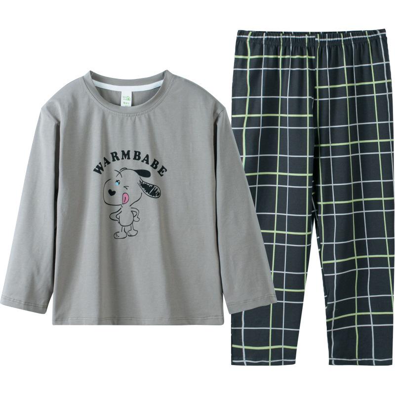 Lulu Niu Boys' Cartoon Cotton Long-Sleeve Pajamas - Spring & Autumn Style