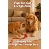 Interactive Cat Toys for Indoor Cats - Motion Activated Cat Balls with 360° - Kitten Toys To Relieve Boredom for Bored Kitten Pet Cats Dogs (Red)