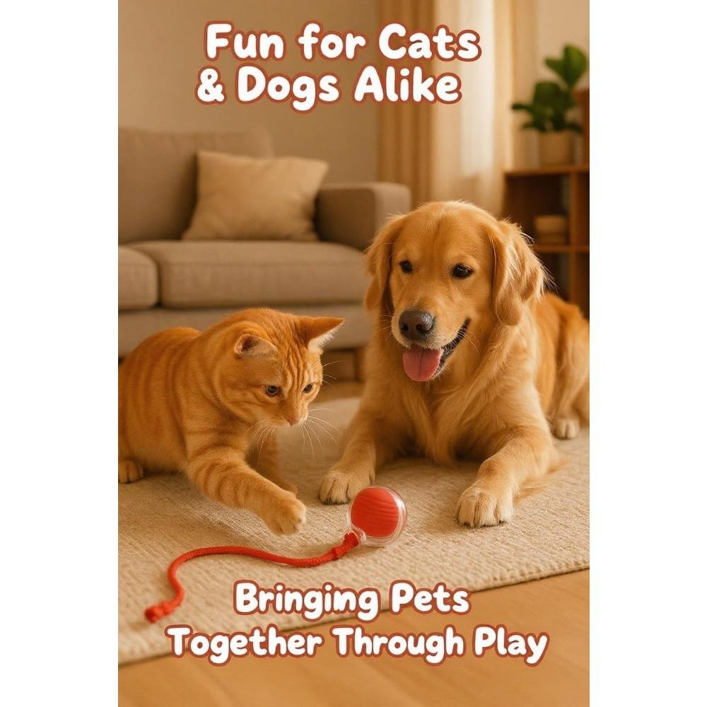 Interactive Cat Toys for Indoor Cats - Motion Activated Cat Balls with 360° - Kitten Toys To Relieve Boredom for Bored Kitten Pet Cats Dogs (Red)