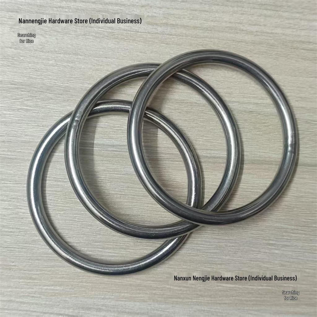 Edelstahl 304 Geschweißter Hebeöse O-Ring