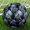 Messi 10 Number Leo Messi World Cup Size 5 Football Machine Sewn Indooroutdoor Universal Football For Football Accessories Perfect Birthday Christmas 