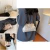 Chic Silk Shoulder Bag Stylish And Trendy Street Fashion Summer 2024 Unique Design
