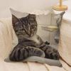 Funny Cat Meme Pillow Cover Short Plush Polyester Cushion Case Decor Throw Pillowcase Home Deco
