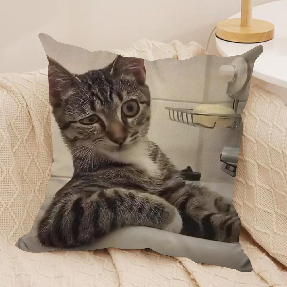 Funny Cat Meme Pillow Cover Short Plush Polyester Cushion Case Decor Throw Pillowcase Home Deco