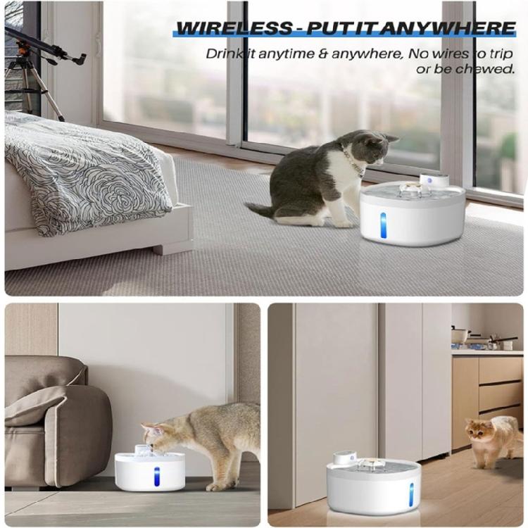 Set of 12 Cat Water Dispenser Filters Coconut Shells Material Pet Water Filter